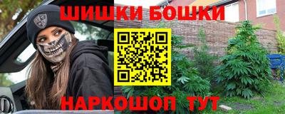 прущие грибы Заводоуковск