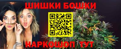 прущие грибы Заводоуковск