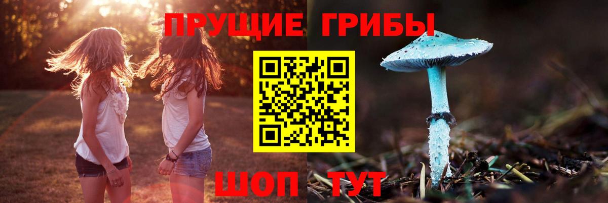 Учалы  Псилоцибиновые грибы Magic Shrooms  Вход с VPN  Галлюциногенные грибы мицелий 